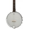 Epiphone MB-100 banjo 